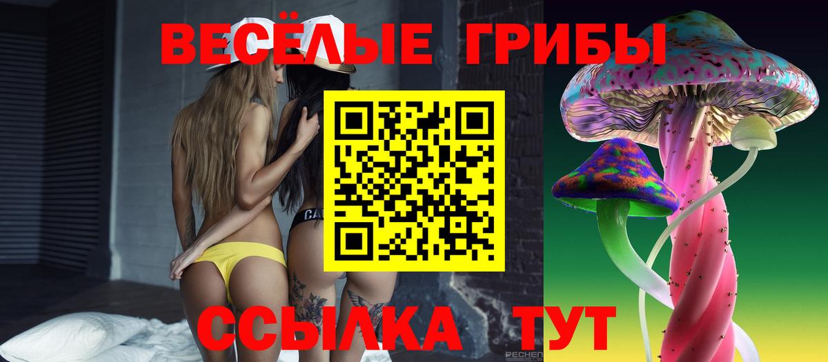 Псилоцибиновые грибы GOLDEN TEACHER  Псилоцибиновые грибы мухоморы  Вход с VPN  Ефремов 