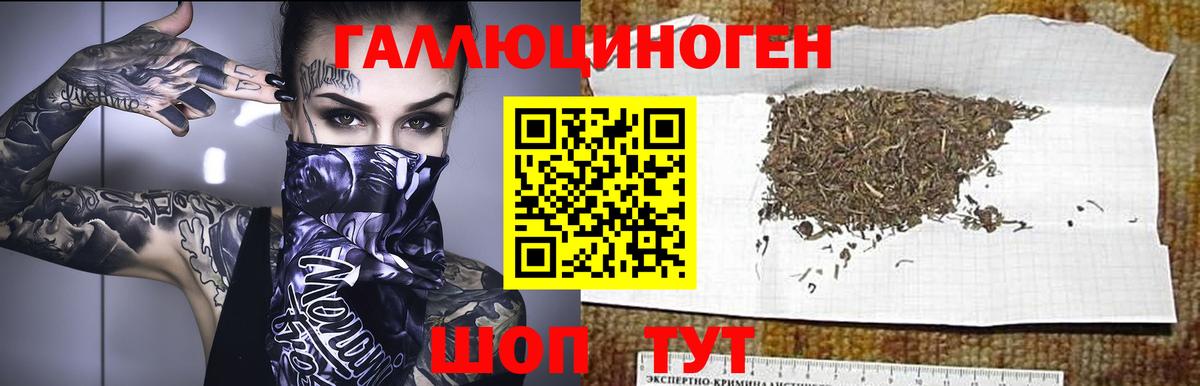 Псилоцибиновые грибы MAGIC MUSHROOMS Ефремов